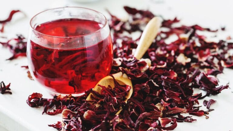 Chá de Hibisco para Emagrecer Naturalmente Benefícios, Receitas e Cuidados