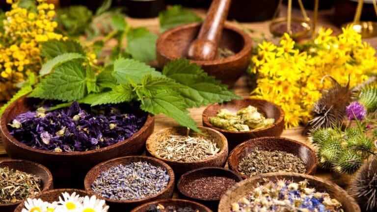 Cheiro de Infância Plantas e alimentos naturais que - diferença entre alimentos funcionais e superalimentos