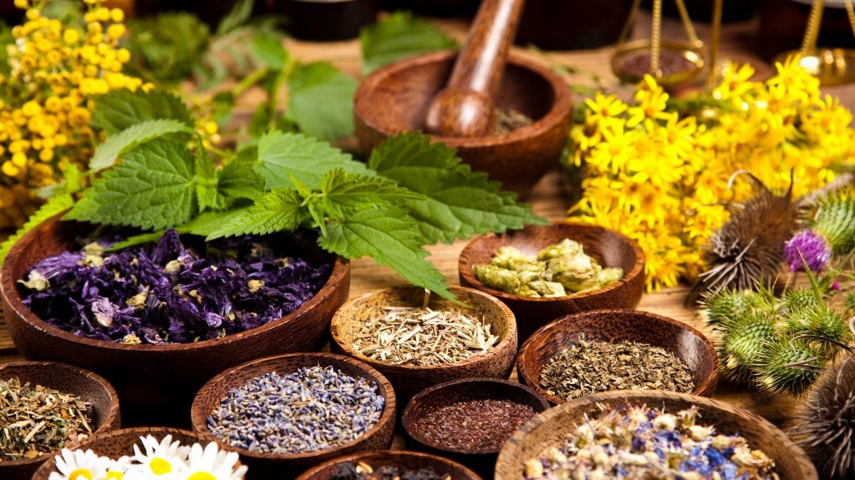 Cheiro de Infância Plantas e alimentos naturais que - diferença entre alimentos funcionais e superalimentos