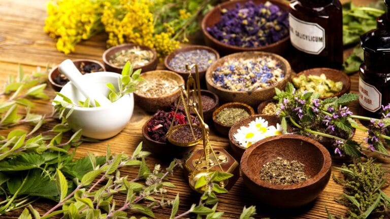 Fitoterapia para Emagrecer Plantas Medicinais para Perda de Peso Saudávelais ervas e plantas medicinais com comprovação científica