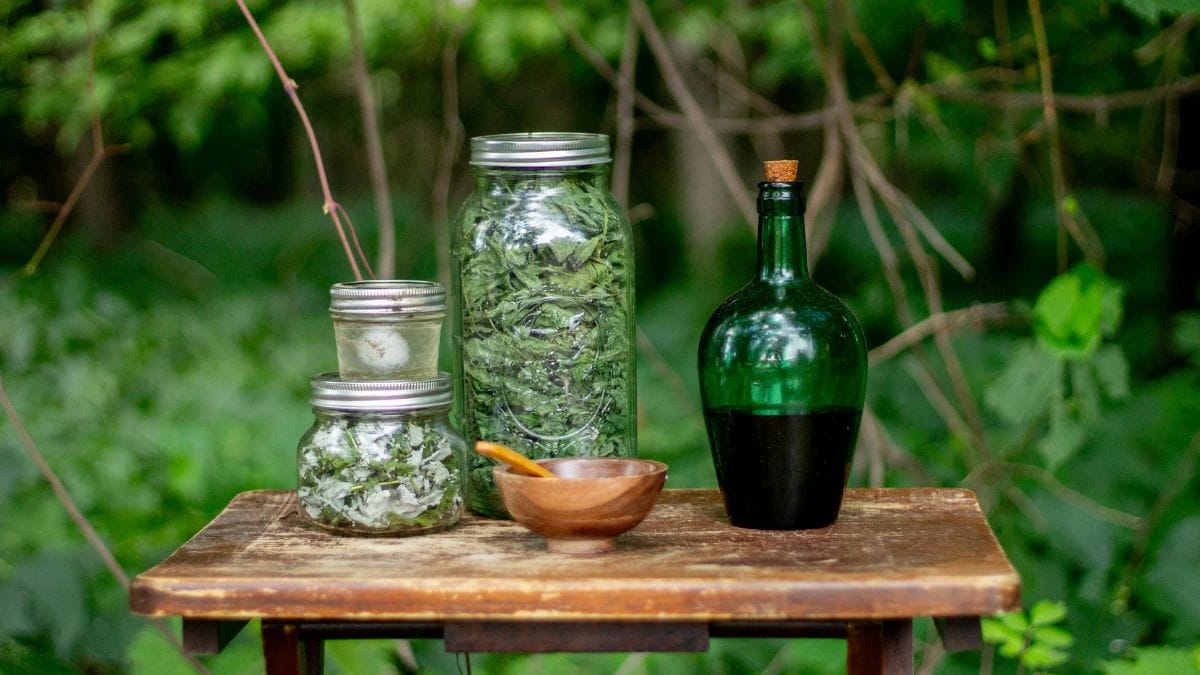 Como Montar um Kit de Primeiros Socorros Natural