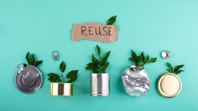 Dicas para Reduzir o Desperdício com Práticas Sustentáveis