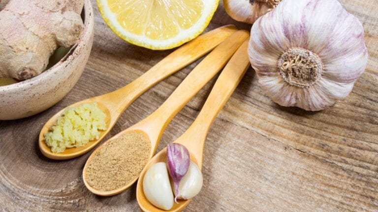 Top 5 Alimentos Antivirais Naturais para o Dia a Dia