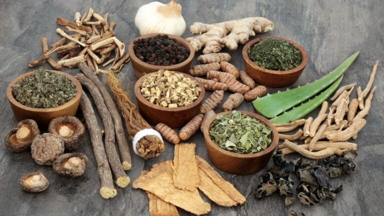 adaptógenos: equilíbrio natural para o corpo