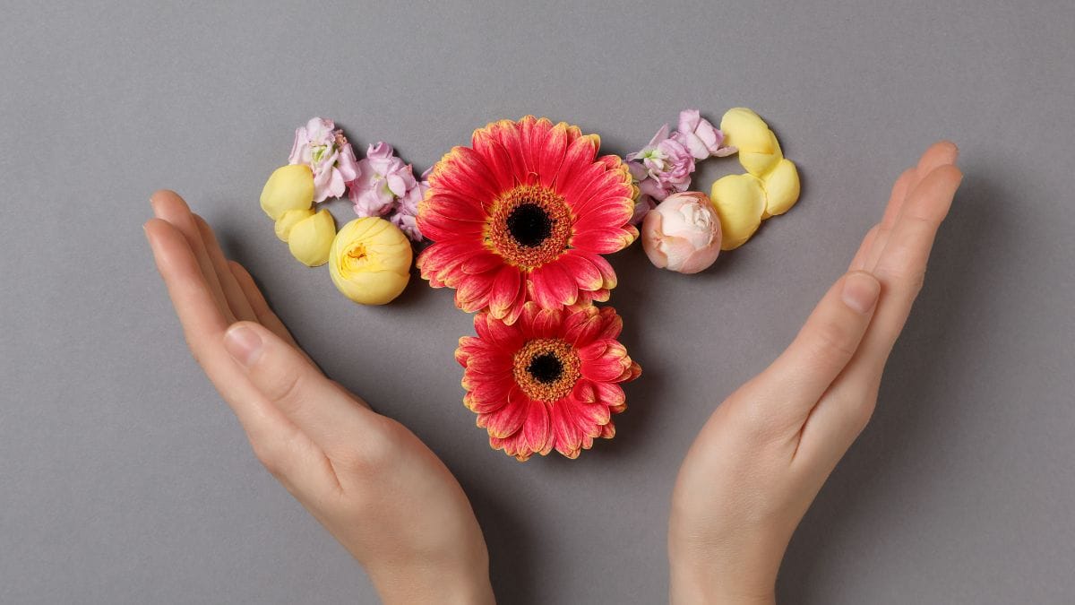 alimentos para saúde hormonal da mulher