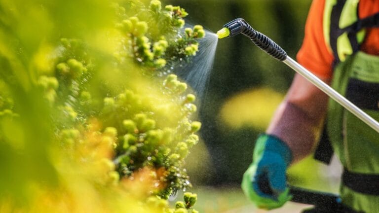 impacto dos agrotóxicos na saúde