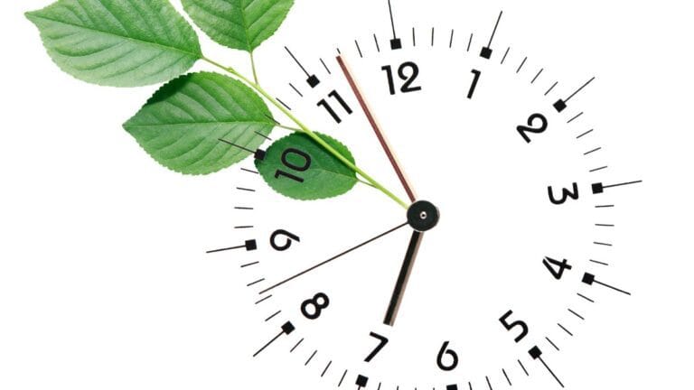 melhor horário para tomar suplementos naturais