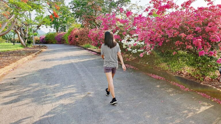 caminhadas conscientes na natureza