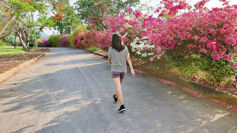 caminhadas conscientes na natureza
