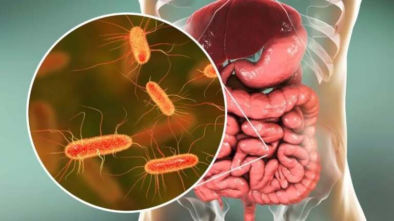 microbiota intestinal