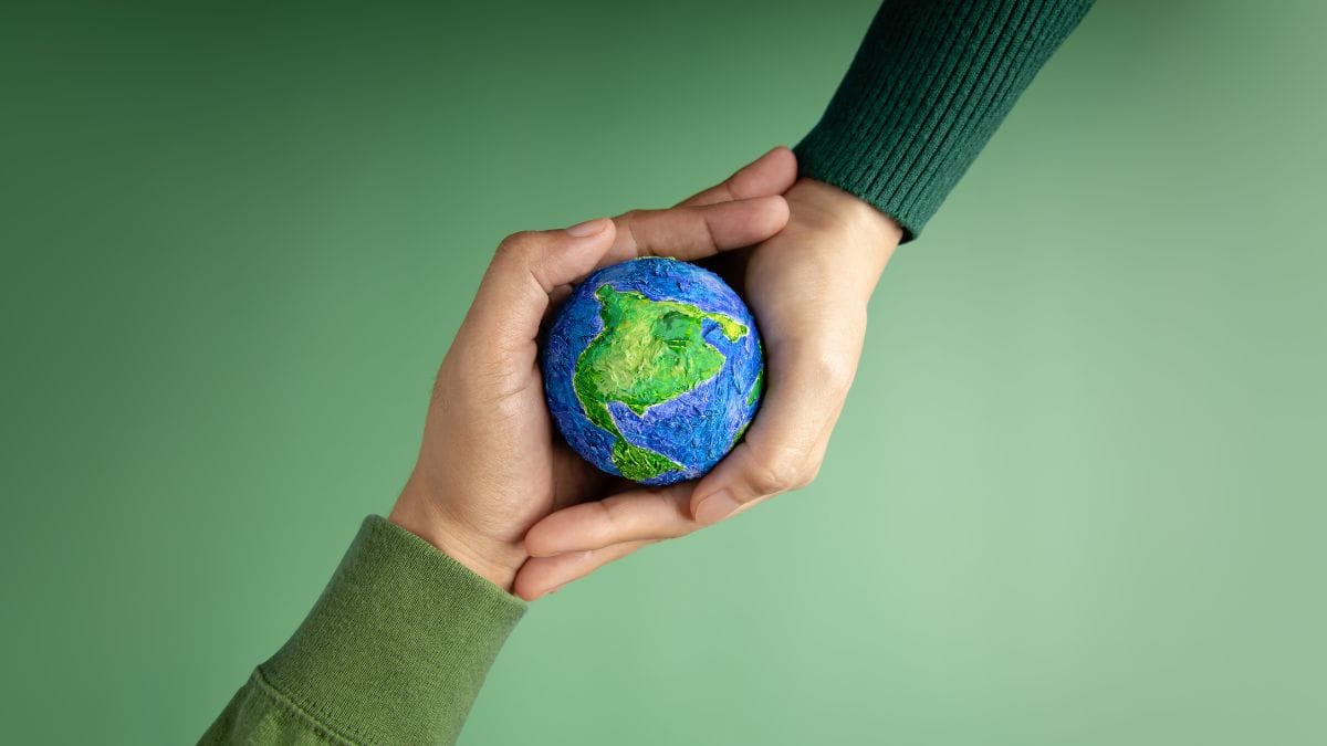 práticas sustentáveis no dia a dia